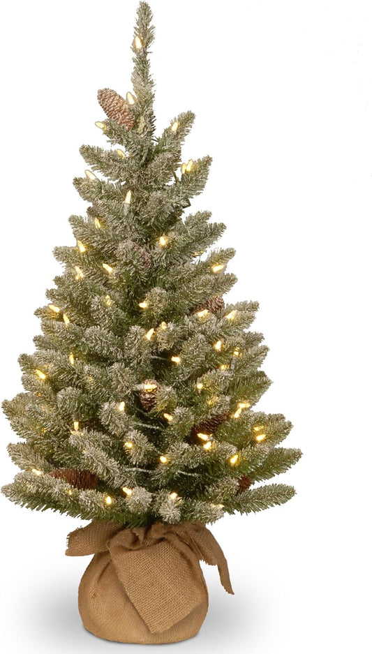 Pre-Lit Artificial Mini Christmas Tree | Includes Small White LED Lights and Cloth Bag Base | Snowy Concolor Fir Burlap - 3 Ft, Brown/Green